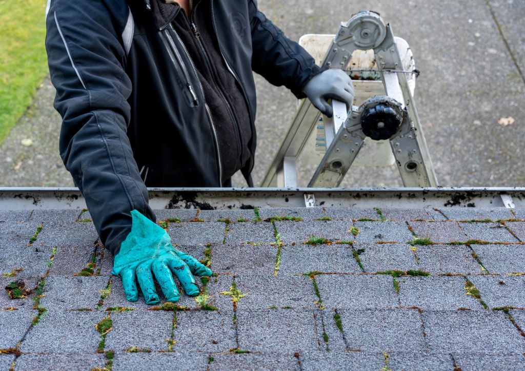Cleaning A Roof