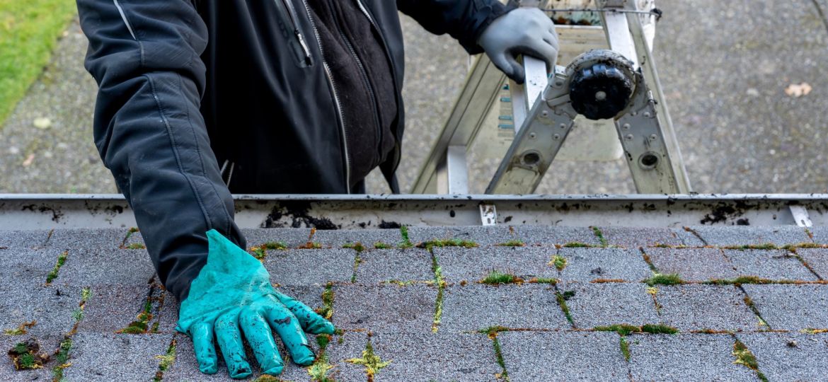 Cleaning A Roof
